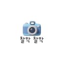 미스터꼼장어