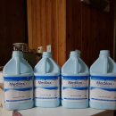 소유뱅갈캐터리 이미지