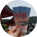 오사카여행후기7) 교토 청수사, 산넨자카, 니넨자카, 아라시야마 도게츠교, 대나무 숲 치쿠린