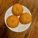 라뷰테제주 | [ 라뷰테제주 ] 바다 앞 오션뷰 스파 팬션 내돈내산 추천후기