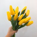 넌나의꽃