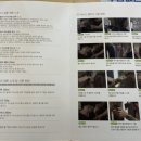 헤어크리닉비너스