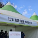 영진전문대학교 | 대구 북구 11월 축제! 멍멍페스티벌 다녀온 후기! (w. 영진전문대학교 동물보건과)