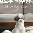 공존스토리