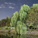 창녕군 영산시외버스터미널 | 창녕 영산 연지못 둘레길 데이트 코스 경남 가을 여행 추천