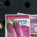 친정집농원