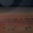 천수만로 이미지