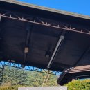 숲을 그리다 이미지