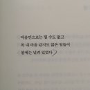 대전열린가정폭력상담소 | 그럼그냥4월진행할게요