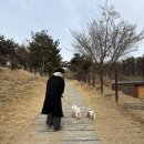 45 | 용인 기흥 5000평 대형 애견카페 테일45감 후기｜서울근교 야외 넓은 애견카페 추천 (소형견 분리존...
