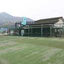 강촌->SBS 이미지