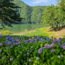 참살이콩이야기 이미지