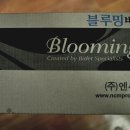 엔씨엠(NCM) | 세균걱정 없는 ncm 블루밍비데 NB-1160