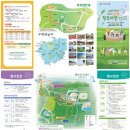 2024 고창 청보리밭축제 비온 뒤 흐린날도 볼만할까? 5월6일 다녀온 후기