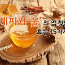 계피와 꿀의 엄청난 효능 15가지 이미지