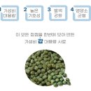 코이푸드 이미지