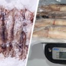 대박수산 이미지