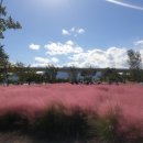 세븐일레븐구미원평희망점 | 낙동강 산책길이 집 앞! 구미 해모로 리버시티 방문 후기