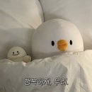 대성프라자 이미지