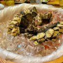 작은 섬소년 이미지