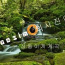 상동주유소 이미지