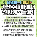 온가을054 | 대구 근교 핑크뮬리 성지! 인생샷 보장 칠곡 가산수피아 가을 여행 후기