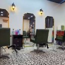 제이스 메디 이미지