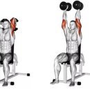 서문헬스 이미지