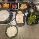 양이야기 이미지