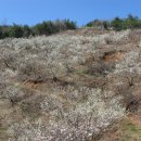 황재농장 이미지