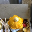 같이갈래? 이미지