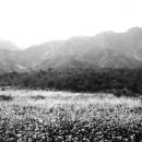 안중관 | 1756년 삽교(霅橋) 안석경(安錫儆) 선생의 '구월산(九月山)'