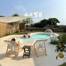 소소행성 | 제주도 동쪽 신상 숙소 추천 야외수영장 자쿠지 독채 펜션 [소소행성]