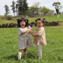 평화목장2 이미지