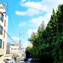 오산생태하천길(삼남길) 이미지