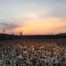 유익농장 이미지