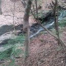 버스정류소_삼아아파트 이미지