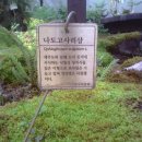 본데