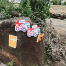 제주 올레길 10코스 이미지