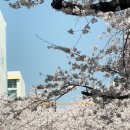 리더공인중개사사무소 이미지