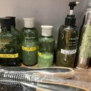 호텔꼬뮨 베어스타운점 이미지