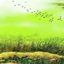 고원초등학교 이미지