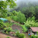 외갓집농장 이미지