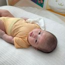 댕스라이프 이미지