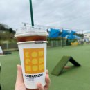 대구애견스쿨 | [대구 근교 대형견 애견카페] 칠곡 왜관 '컴페니언' 다녀온 이야기