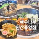 국수나무안산