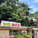 능골매운탕 | 전참시 테이 닭볶음탕 맛집 파주 능골매운탕 후기
