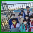 경희대 튼튼태권도 이미지