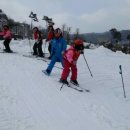 대마초등학교 이미지