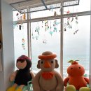 제주여행스케치 | [제주 기념품샵 추천]공항 가기 전 필수 코스 바이제주🎁